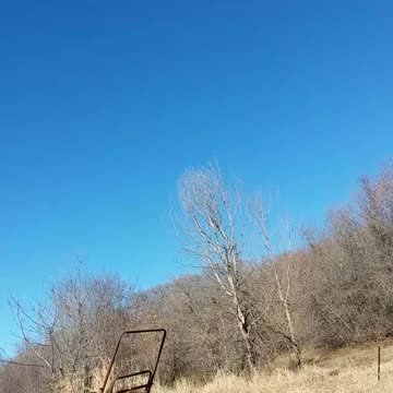 Psalm 26 Message Bible (I love living with you)