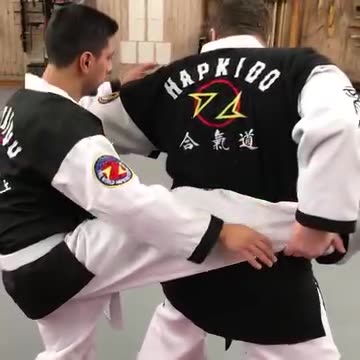 Hapkido