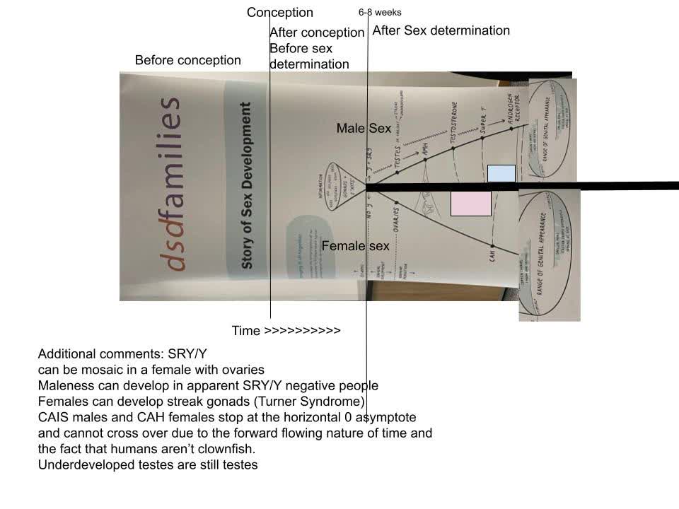 Sex is not a spectrum, dsdfamilies!