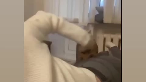 Funniest 🐱 catss