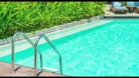 कलेक्टर एसपी ने ओमकारेश्वर में देखी व्यवस्थाएं,कई विषयों पर दिए अधिकारियों को निर्देश