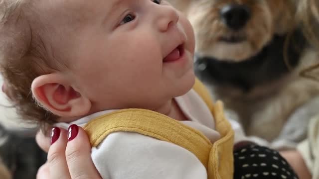 Amazing Needy Dogs Gets Jealous When Baby Gets All The Attention (CUTEST REACTIONS!!)