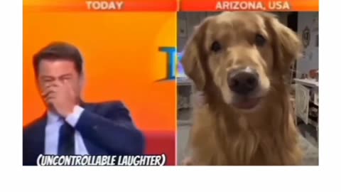 Funniest video 🤣🤣🐕