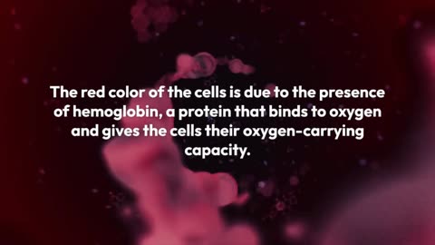 RBCs (RED BLOOD CELLS)