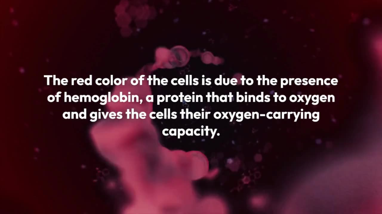 RBCs (RED BLOOD CELLS)