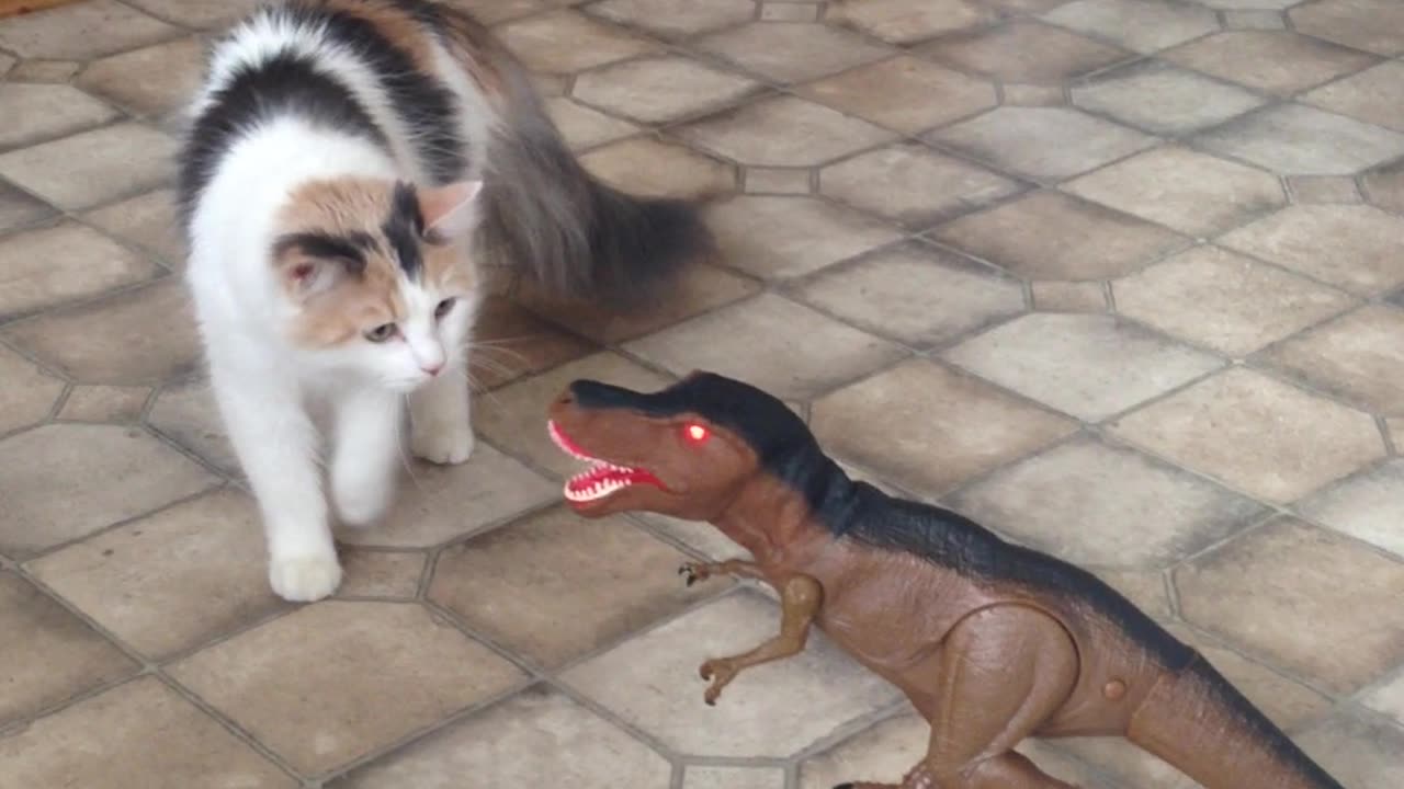 Cat vs toy dinosaur