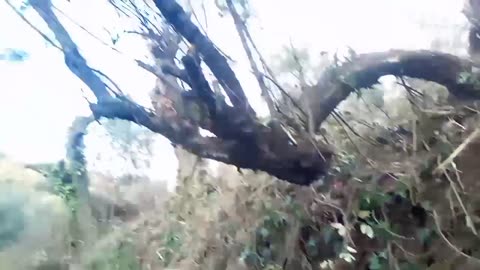 ΤΟ ΚΑΛΎΤΕΡΟ ΕΡΓΑΛΕΊΟ Η ΠΙΡΟΥΝΑ