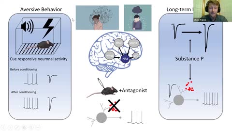 Aversive Learning Requires Nucleus Accumbens Substance P