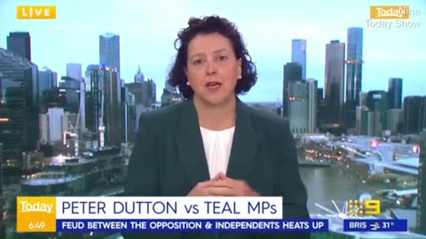 Monique Ryan accuses Peter Dutton of name-calling