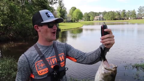 Catching GIANT Bass in SMALL Ponds (Bed Fishing)