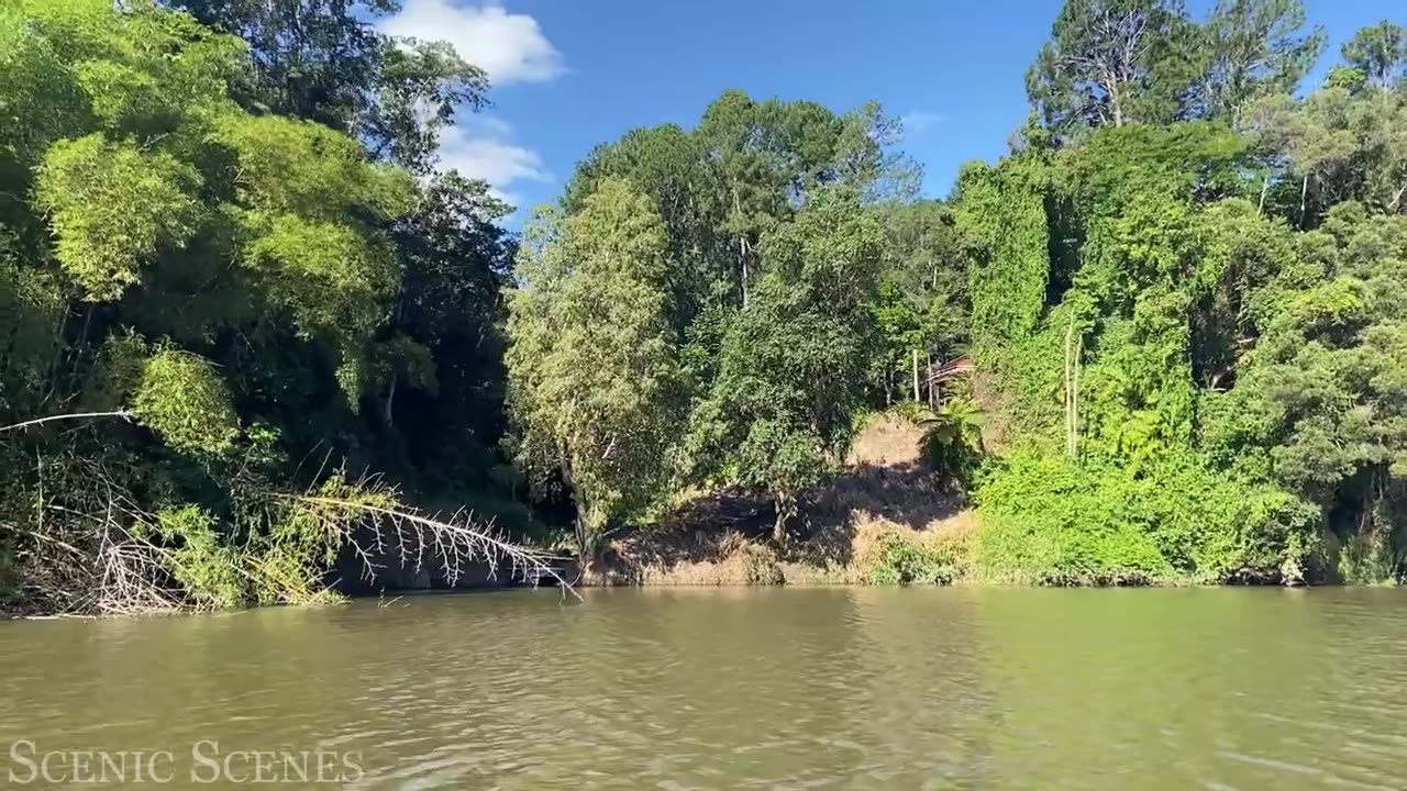 Amazon Jungle The World’s Largest Tropical Rainforest _ Jungle Sounds _ Scenic Relaxation Part 1.