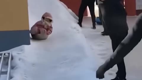 Sliding on ice! ¦#Trending #Viral #Famous #USA #Canada #Germany