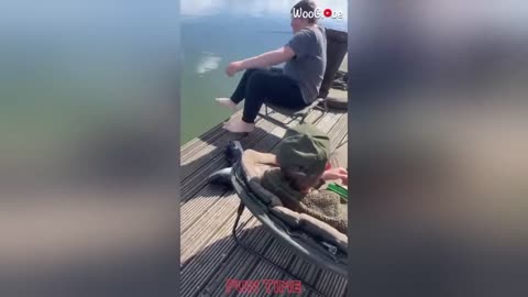 Funny fails compilation 🤣🤣🤣