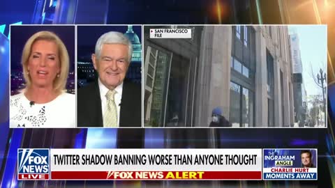 Elon Musk's efforts to uphold American values are 'remarkable': Newt Gingrich