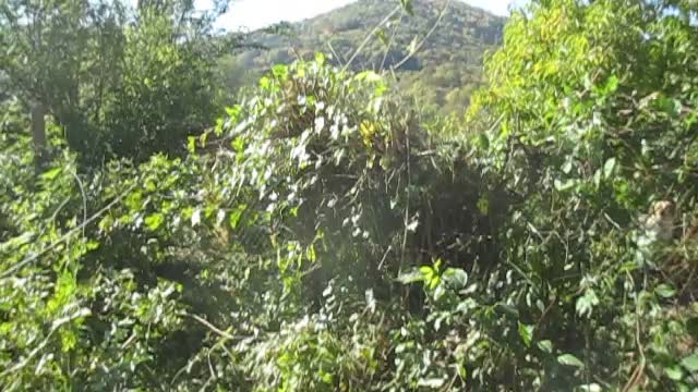 Village Views