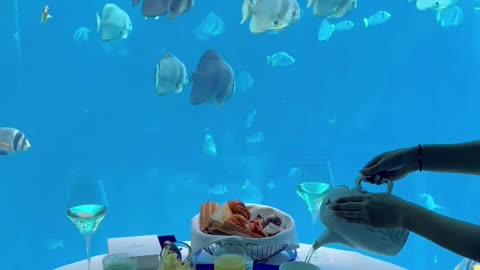 The Most Romantic #breakfast With #amazing View |Tag Your Love😍💓💓
