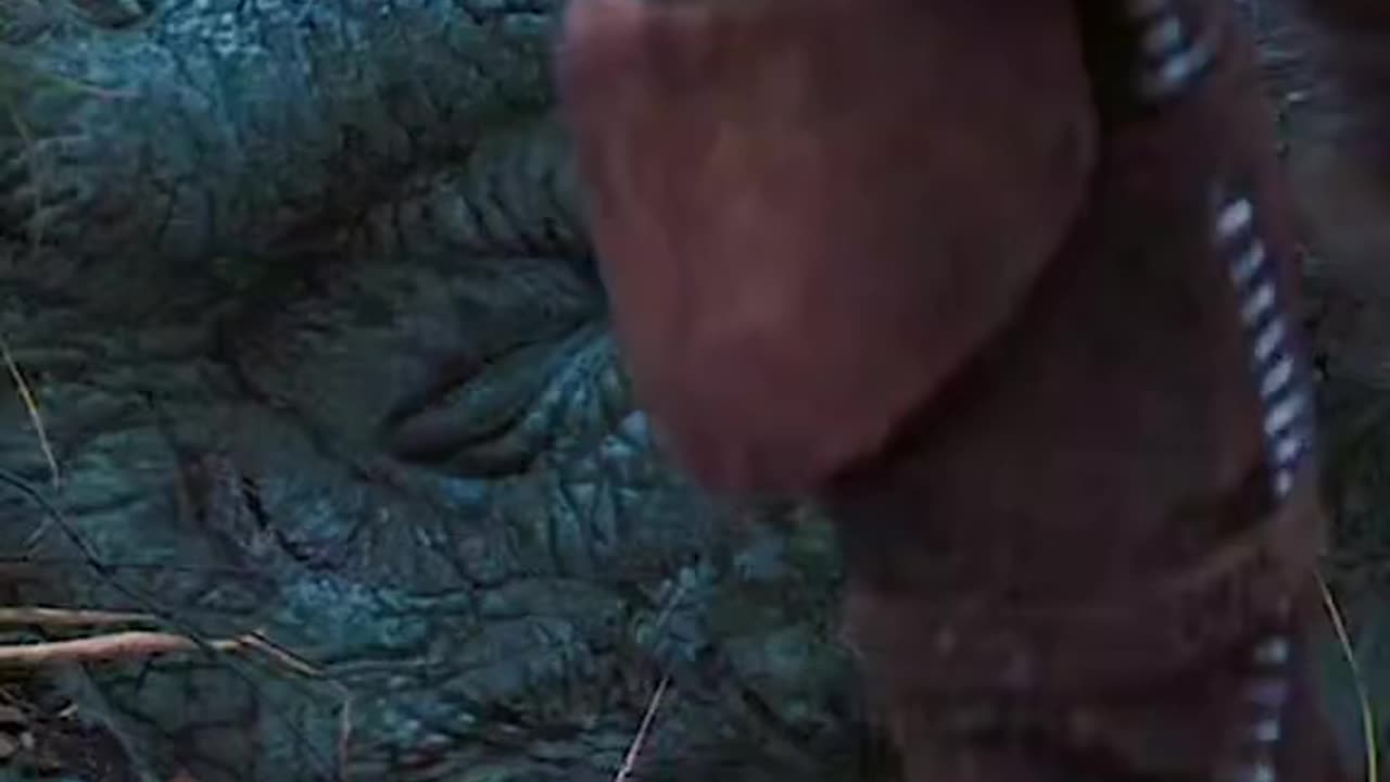 Jaw-Dropping Action! You Won't Believe What Happens Next...