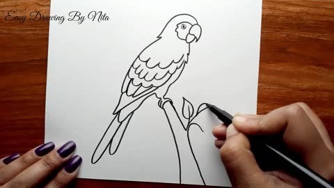 Parrot Drawing Step by Step -- How to Draw Parrot -- Parrot Drawing Colour