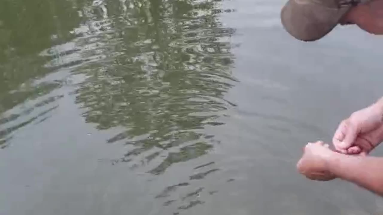 Using a remote controlled boat to fish