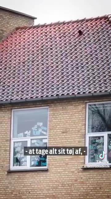 Borup Skole Sagen 🥶👳‍♂️ 2024