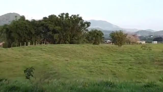 Ruínas da Igreja da Santíssima Trindade, situado na cidade