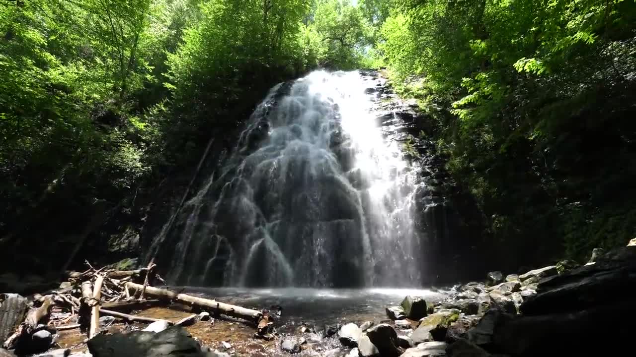 Blue Ridge Parkway Road Trip_ 4(00h00m00s-00h01m59s)