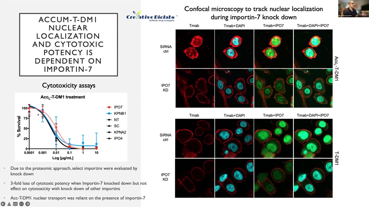 ADC In Vitro Analysis