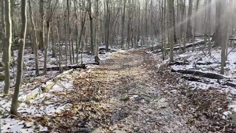 Bigfoot - Ricketts Glen State Park / Sasquatch Nest