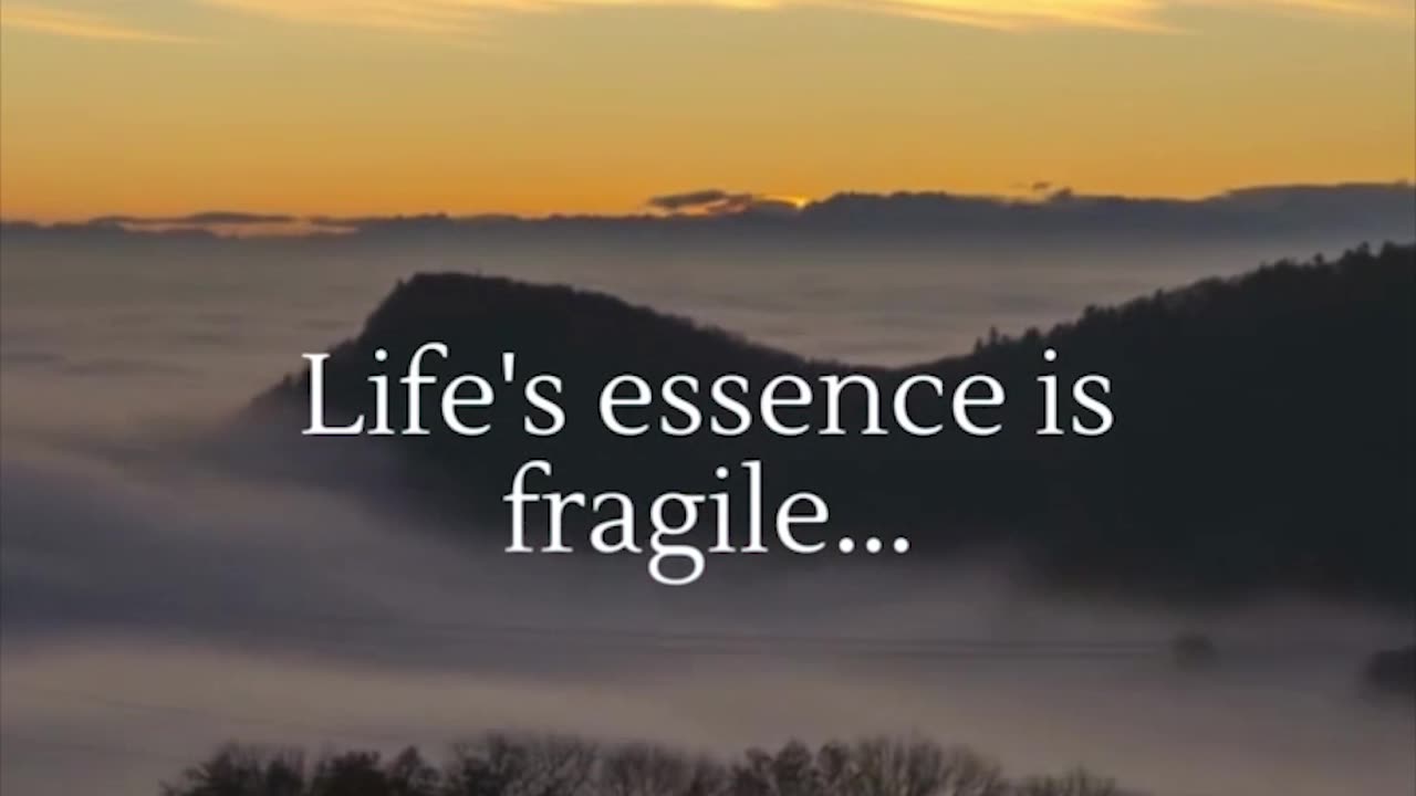 Fragile Essence of Life #Shorts #lifefacts #subscribe