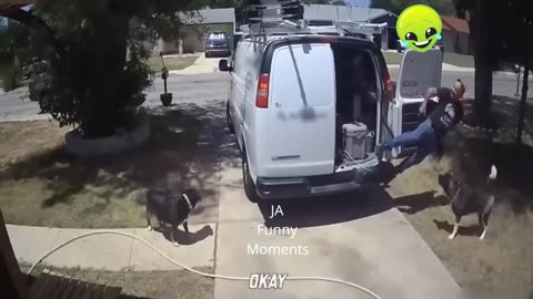Comedy Trends l Funny Videos from Around the World Cute People And Animals Doing Funny Things 3