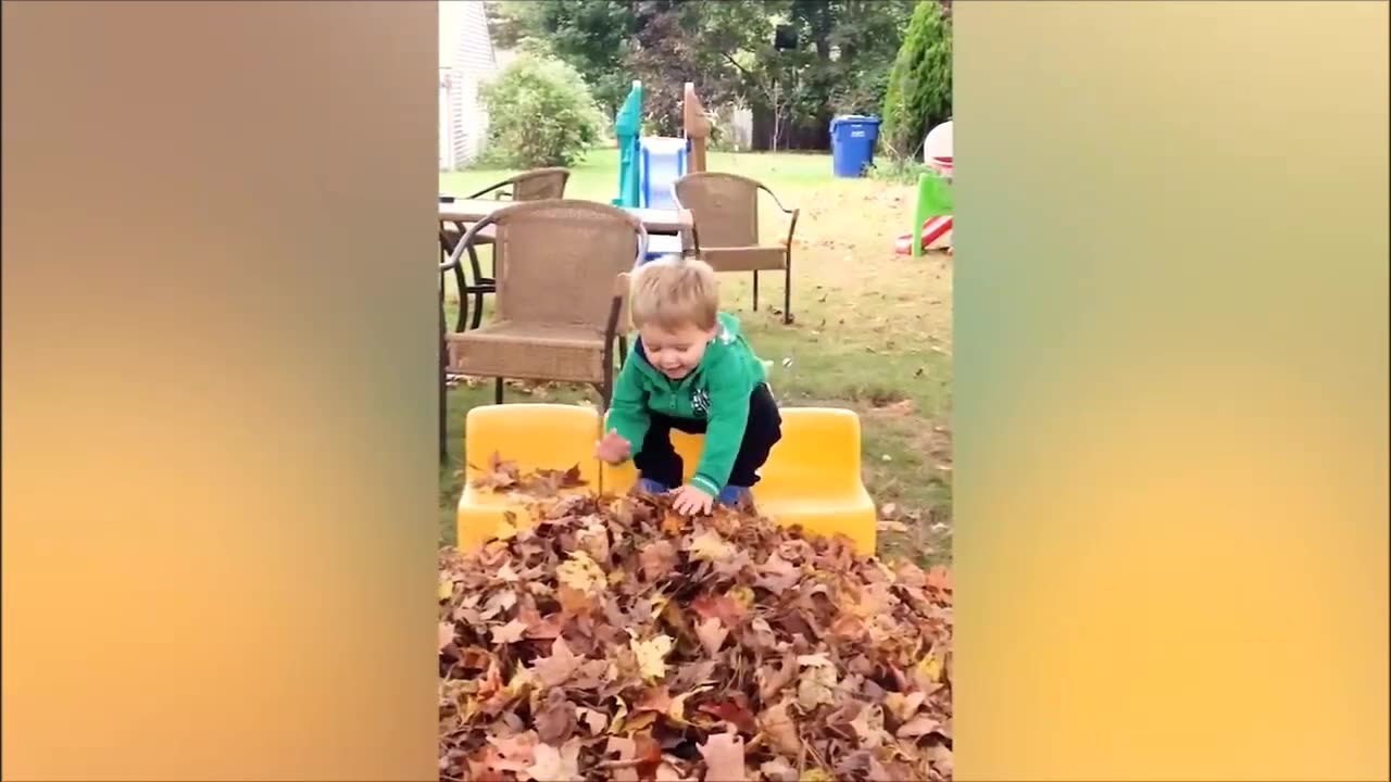 Try Not To Laugh Funny Videos