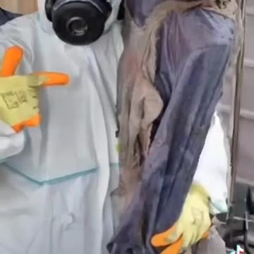 Lee o'connor and he's work days