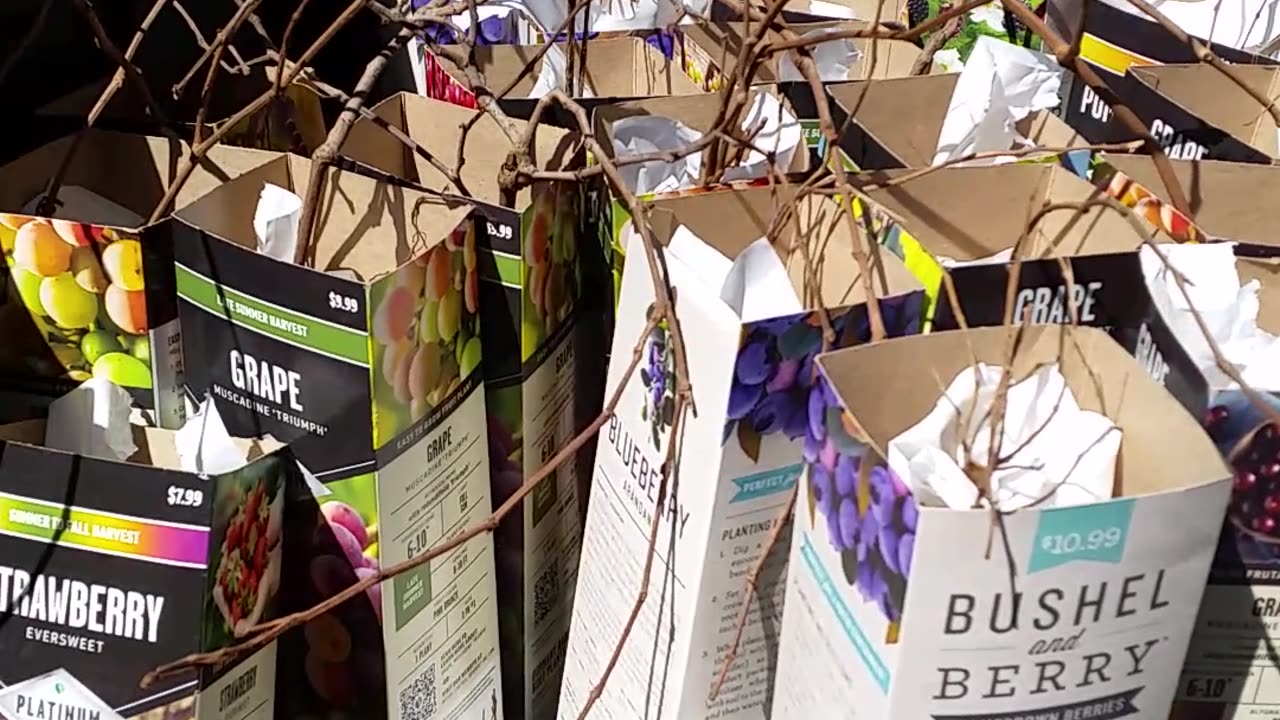 TS Clearance on Plants!!!