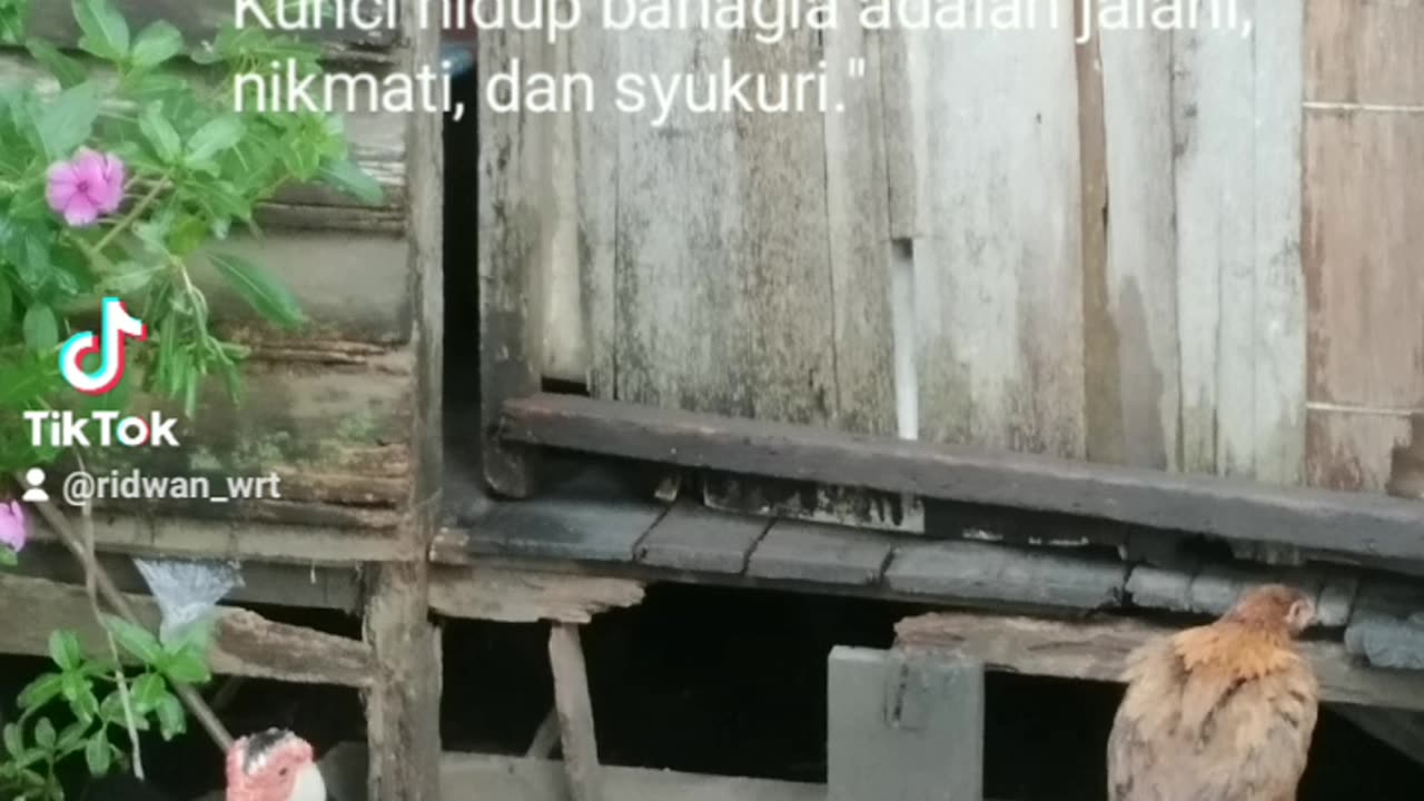 Kata-kata motivasi