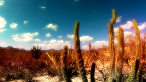 Beautiful desert landscape timelapse.