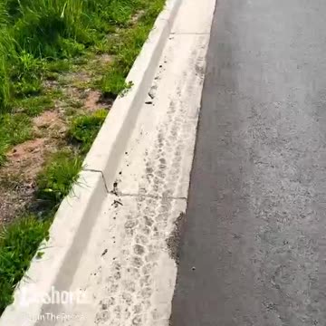 Daily walk #fyp #shorts