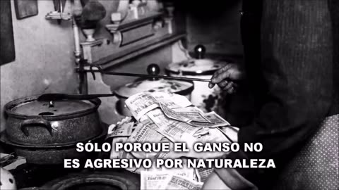 Lo que hizo Hitler con los Bancos y la deuda en los años 30