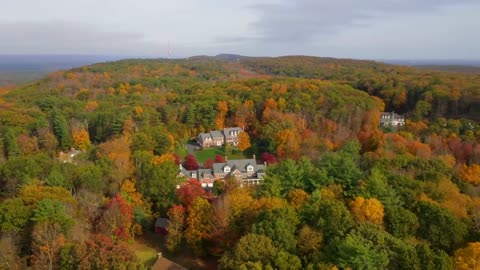 Enchanting Autumn Forests with Beautiful Piano Music