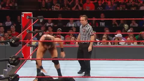 Roman reigns fight