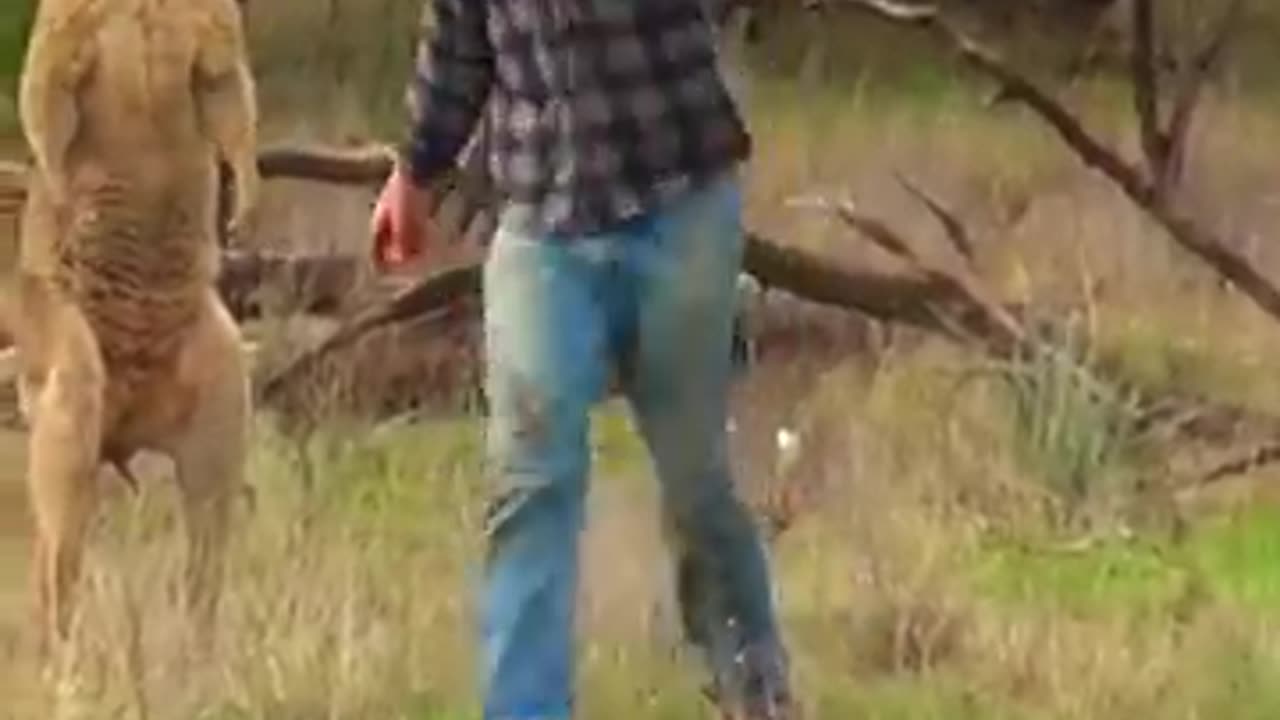 Man Rescues Dog