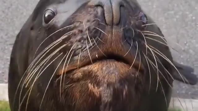 Just One Bite