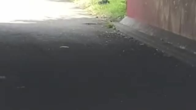 Can’t poo there