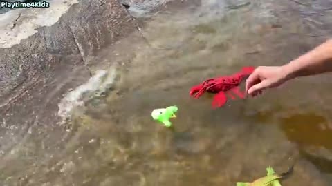 Animals toy's