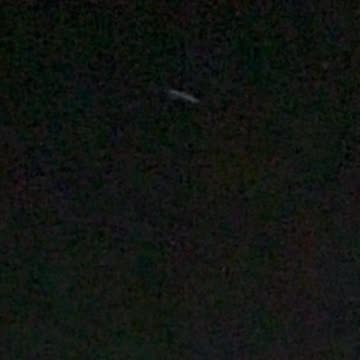 Strange cigar UFO (mothership?) spotted over my backyard 10/26/24 6:55p (2 of 3).