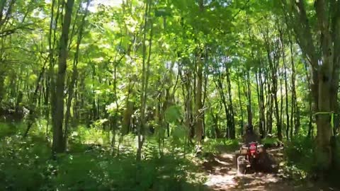 Trail Ride or Dance Party? Why not BOTH???