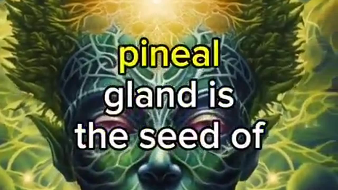 THE PINEAL GLAND ABSORBS MORE FLUORIDE THAN ANY OTHER PHYSICAL MATTER IN THE BODY EVEN BONES