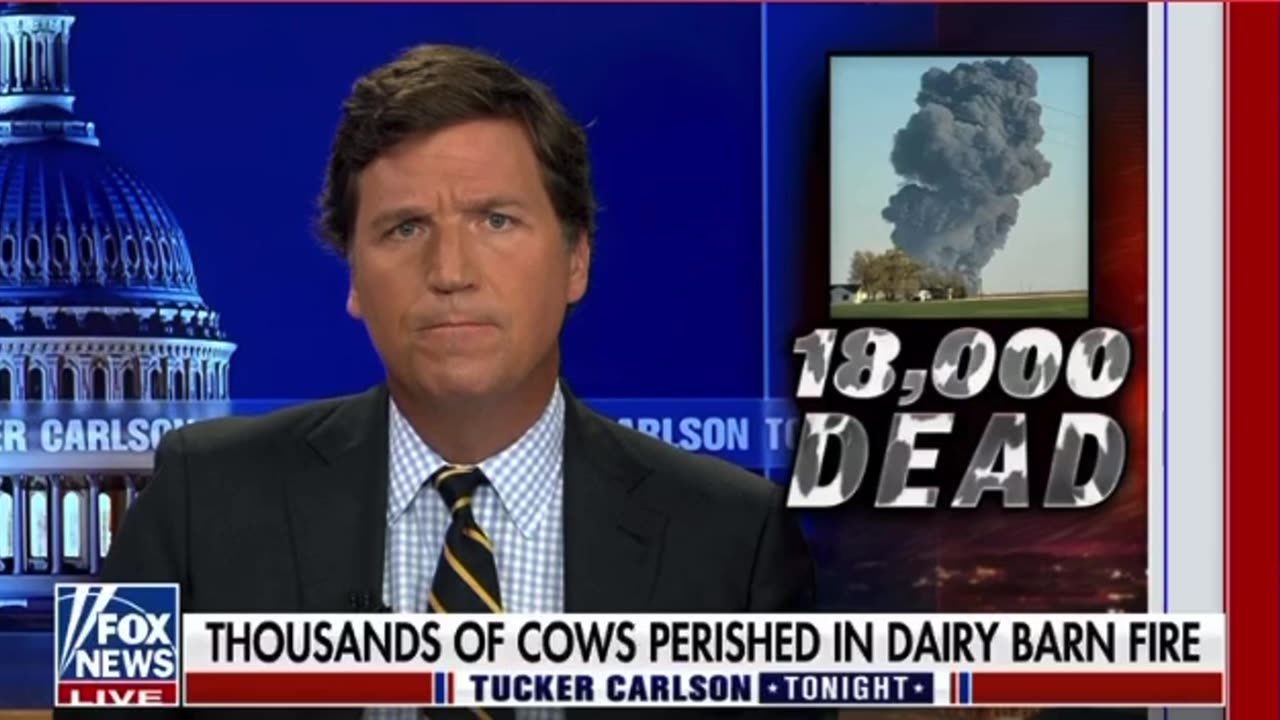 Tucker Carlson on an explosion that left 18,000 cattle dead