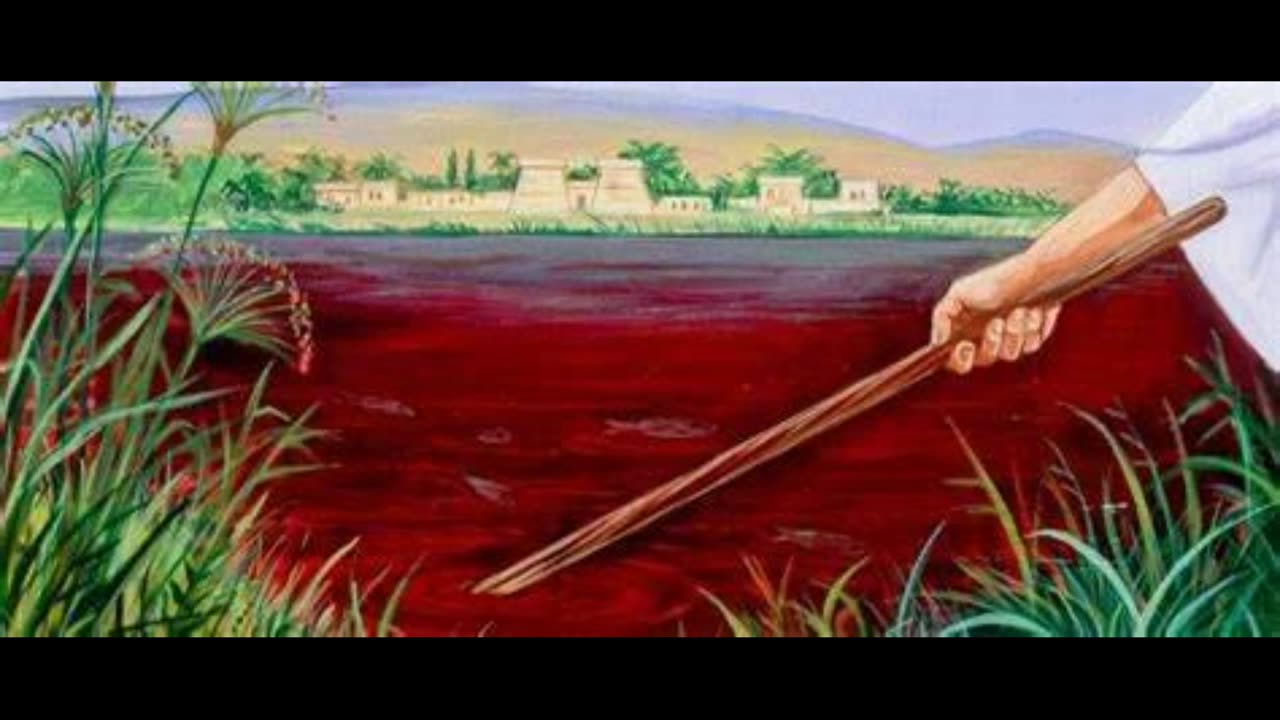 10 plag apokalipsy cz.11