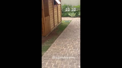 STORIES DO CAMPEÃO DO BBB22 ARTHUR AGUIAR 15/10/2024