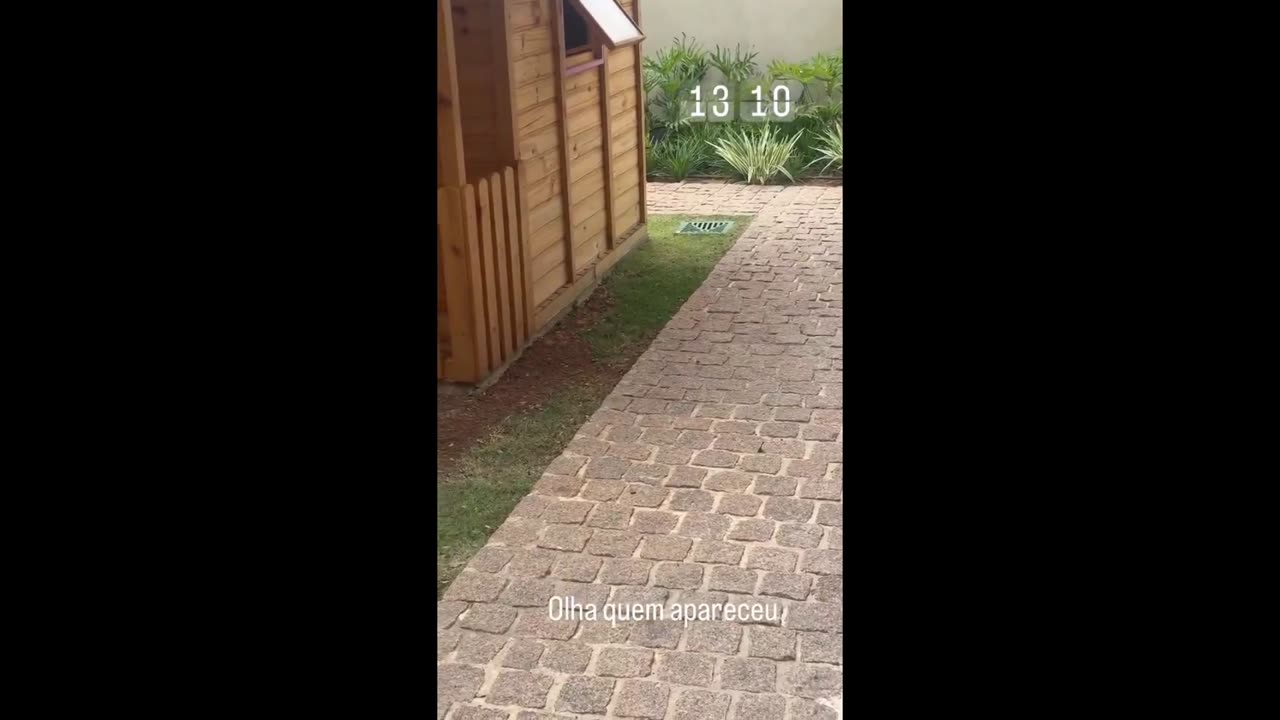 STORIES DO CAMPEÃO DO BBB22 ARTHUR AGUIAR 15/10/2024
